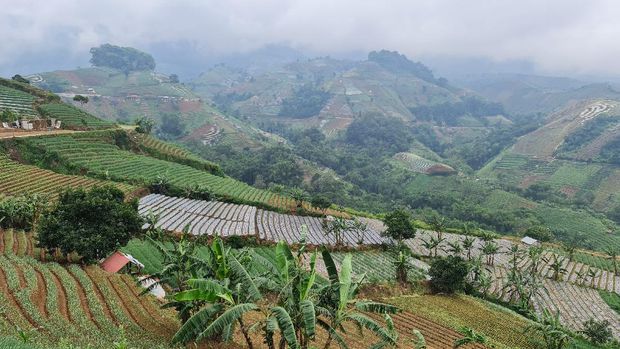 Keindahan alam Kabupaten Majalengka di atas ketinggian.