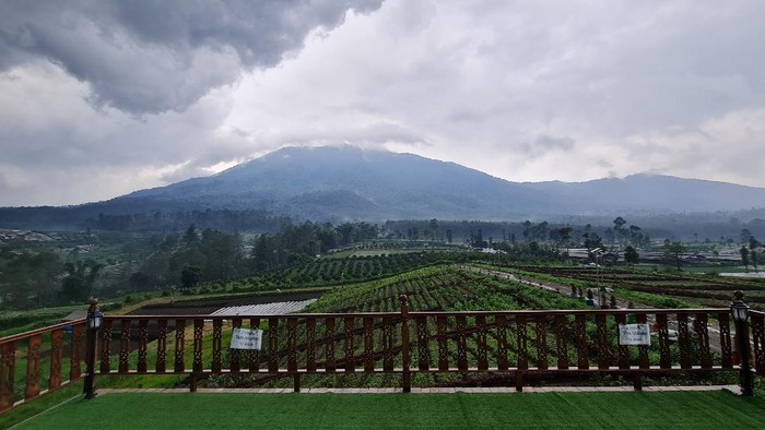 Keindahan alam Kabupaten Majalengka di atas ketinggian.