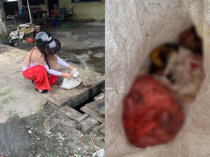 Sadis! Puluhan Kucing Dijagal dan Dagingnya Dimakan