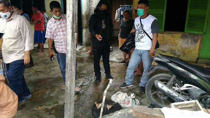Lokasi penemuan karung isi kucing dikuliti di Medan Lokasi penemuan karung isi kucing dikuliti di Medan