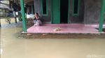 Potret Banjir di Pandeglang yang Kian Meluas