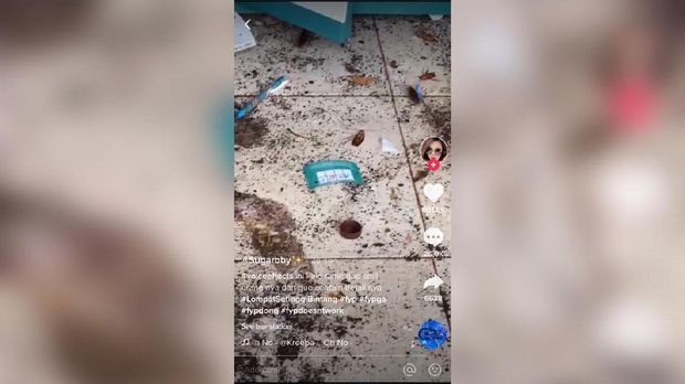 Viral Kamar Kost Penuh Sampah Dan Kecoak Netizen Duga Hoarding Disorder