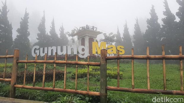 Agrowisata Gunung Mas, Puncak Bogor buka lagi mulai 1 Februari usai banjir bandang.