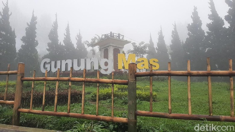 Agrowisata Gunung Mas, Puncak Bogor buka lagi mulai 1 Februari usai banjir bandang. Agrowisata Gunung Mas, Puncak Bogor buka lagi mulai 1 Februari usai banjir bandang.