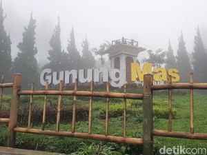 Banjir Bandang Gunung Mas Bogor, DLH Jabar Sebut Murni Faktor Alam