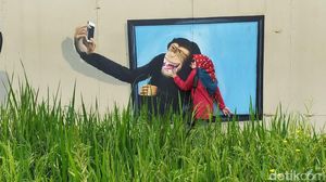 Foto: Tempat Foto-foto Hits di Tengah Sawah Ciamis