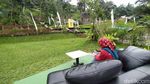 Foto: Tempat Foto-foto Hits di Tengah Sawah Ciamis