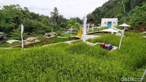 Cireong Natural View Farming, tempat wisata baru di Ciamis, Jabar.