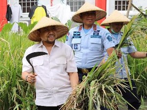 Cerita Kalapas soal Setya Novanto Jadi Petani di Sukamiskin