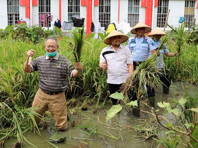 Foto: Setnov Bertani dengan Topi Caping di Lapas Sukamiskin