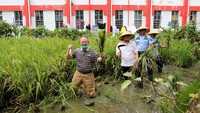 Bersama narapidana kasus korupsi lainnya yang juga mendekam di Lapas Sukamiskin, Kota Bandung, ia beraksi menjadi petani yang juga menjadi salah satu program pembinaan di lapas tersebut. Inilah aksi Setnov saat bertani dengan topi caping. Foto: dok. Lapas Sukamiskin
