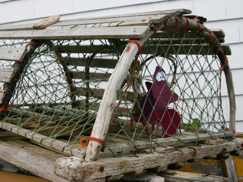 Kartun vs masalah dunia