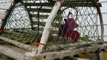 Sebastian Little Mermaid Foto: Jeff Hong via Sadanduseless