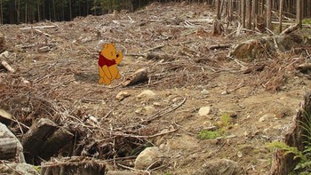 Pooh dan penebangan pohon liar. Foto: Jeff Hong via Sadanduseless
