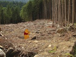 Keren Tapi Bikin Terenyuh, Tokoh Kartun vs Masalah di Dunia