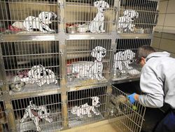 Keren Tapi Bikin Terenyuh, Tokoh Kartun vs Masalah di Dunia