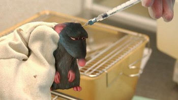 Remy dan percobaan medis. Foto: Jeff Hong via Sadanduseless