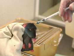 Keren Tapi Bikin Terenyuh, Tokoh Kartun vs Masalah di Dunia