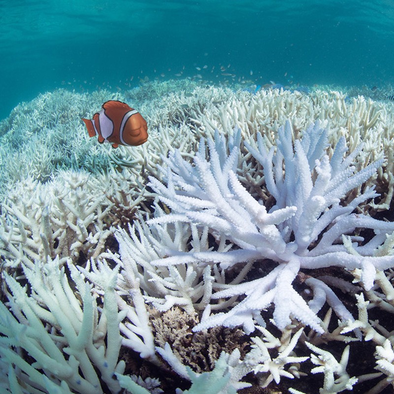 Kartun vs masalah dunia