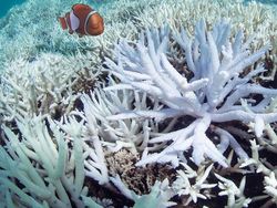 Keren Tapi Bikin Terenyuh, Tokoh Kartun vs Masalah di Dunia