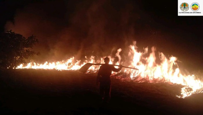 Kebakaran di Taman Nasional Rawa Aopa (dok.KLHK)