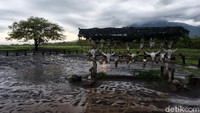 Taman nasional ini pun memiliki sekitar 444 jenis tumbuhan.
