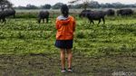 Panorama Africa van Java di Taman Nasional Baluran