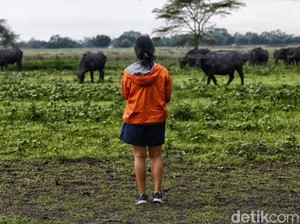 Strategi Agen Travel untuk Gaet dan Bikin Nyaman Wisatawan Lokal