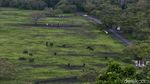 Panorama Africa van Java di Taman Nasional Baluran