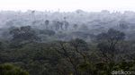 Panorama Africa van Java di Taman Nasional Baluran