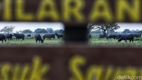 Suaka margasatwa ini resmi diumumkan sebagai taman nasional pada 6 Maret 1980.
