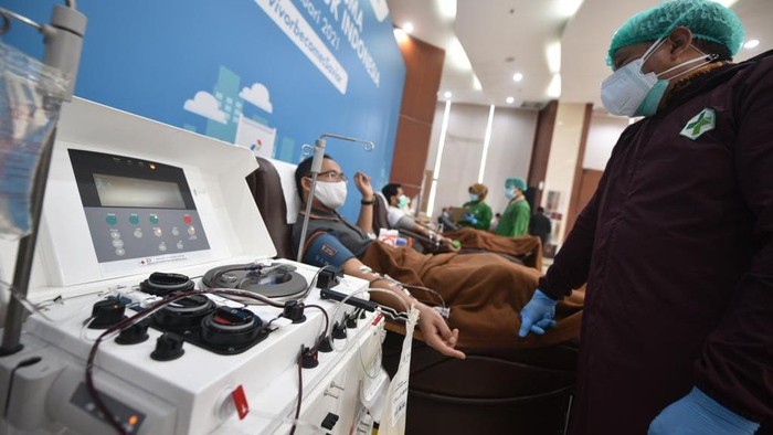 Pertamina donor plasma
