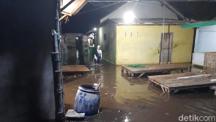 Puluhan Rumah Tergenang Banjir Rob
