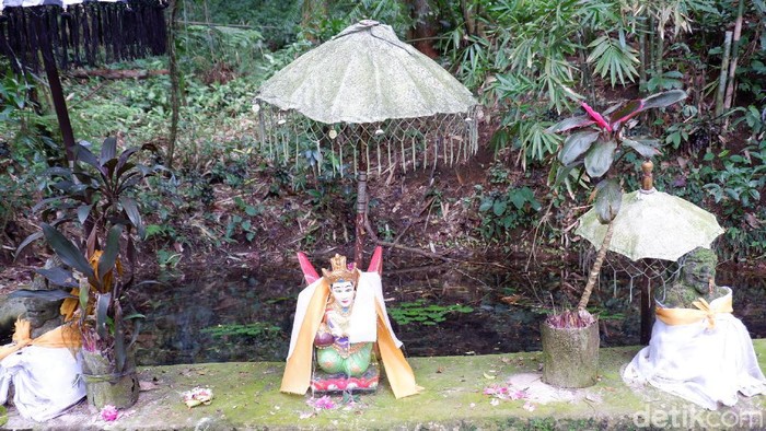 Rowo Bayu, Tempat Angker Yang Merupakan Lokasi Perang Puputan Bayu