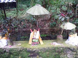 Viral Disebut Lokasi KKN Desa Penari, Rowo Bayu Siap Kedatangan Wisatawan