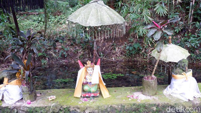 Rowo Bayu, Tempat Angker Yang Merupakan Lokasi Perang Puputan Bayu
