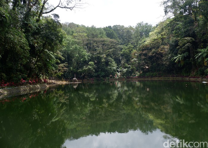 Rowo Bayu, Tempat Angker Yang Merupakan Lokasi Perang Puputan Bayu