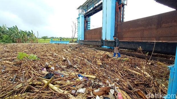 Sampah di pintu pengendali banjir Bendung Wilalung di Desa Kalirejo, Kecamatan Undaan, Kudus, Sabtu (30/1/2021).