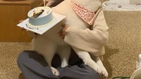 Dalam kehidupan nyata, Seol In Ah adalah sosok yang ramah dan menyenangkan. Ini posenya bersama anjing kesayangannya saat ia sedang berulang tahun 3 Januari 2021 lalu. Foto: Instagram @_seorina