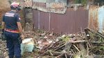 Ular Sanca 3 Meter Tertangkap di Permukiman Pekalongan