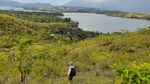 Foto: Di Bukit Cantik Ini, Manusia Prasejarah Pernah Hidup di Papua