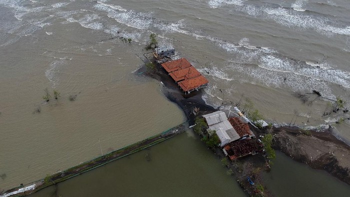 Warga di Simonet, Wonokerto, Kabupaten Pekalongan, bergotong royong membangun tanggul laut. Hal itu dilakukan guna mencegah air laut masuk menuju daratan.