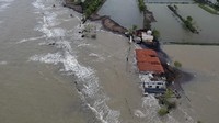 Guna mengantisipasi kerusakan lebih parah akibat air laut yang masuk ke daratan, warga pun bergotong royong membangun tanggul laut di kawasan tersebut.