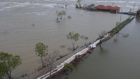 Foto udara warga bergotong royong membawa karung untuk dibuat tanggul laut, di Simonet, Wonokerto, Kabupaten Pekalongan, Jawa Tengah, Minggu (31/1/2021).