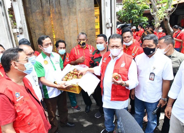 Ketua MPR RI Bambang Soesatyo saat melepas ekspor manggis