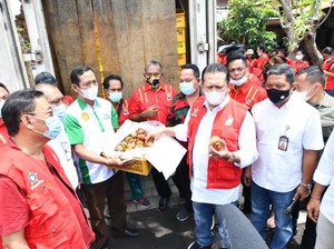 Bamsoet Lepas Ekspor 2 Ton Manggis ke China