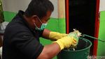 Mengenal Kang Pisman, Program Pengelolaan Sampah di Bandung