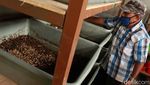 Mengenal Kang Pisman, Program Pengelolaan Sampah di Bandung