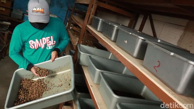 Mengenal Kang Pisman, Program Pengelolaan Sampah di Bandung Kelurahan Sukamiskin, Bandung, jadi kawasan percontohan yang berhasil kelola sampah dengan terapkan program Kang Pisman. Yuk, kenalan dengan program Kang Pisman