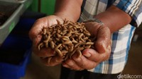 Tak hanya di Kelurahan Sukamiskin, program serupa juga sudah terlaksana dan masif dilakukan di Kelurahan Cihaurgeulis.